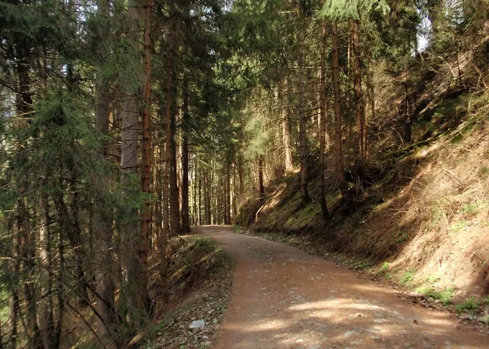 Sellraintaler Auszeit 2 Διαμέρισμα *