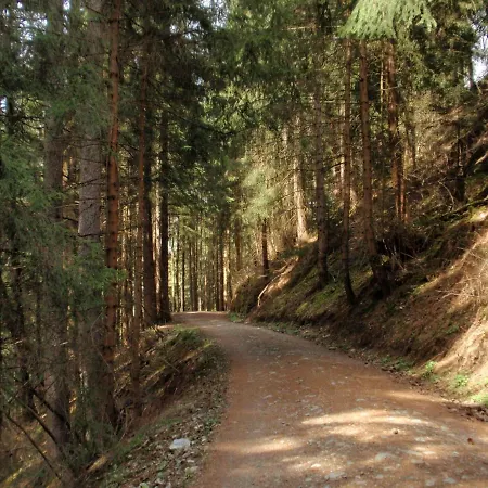 Sellraintaler Auszeit 2 Lägenhet *